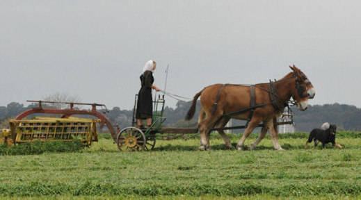 amish